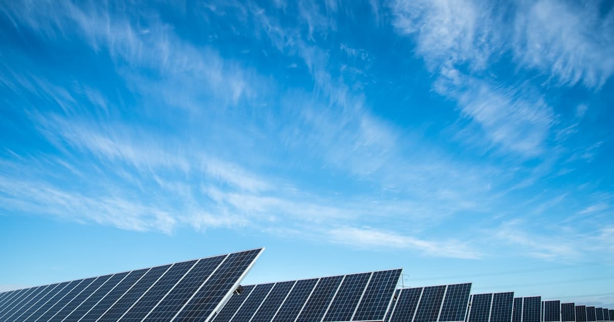 Veld met zonnepanelen bij zonsondergang